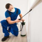 pest control
