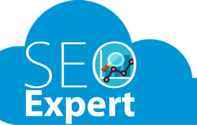 SEO expert